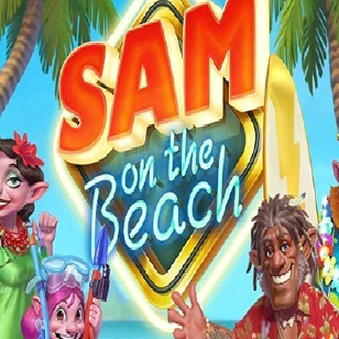 sam on the beach