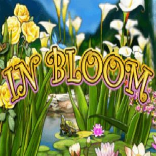 in bloom